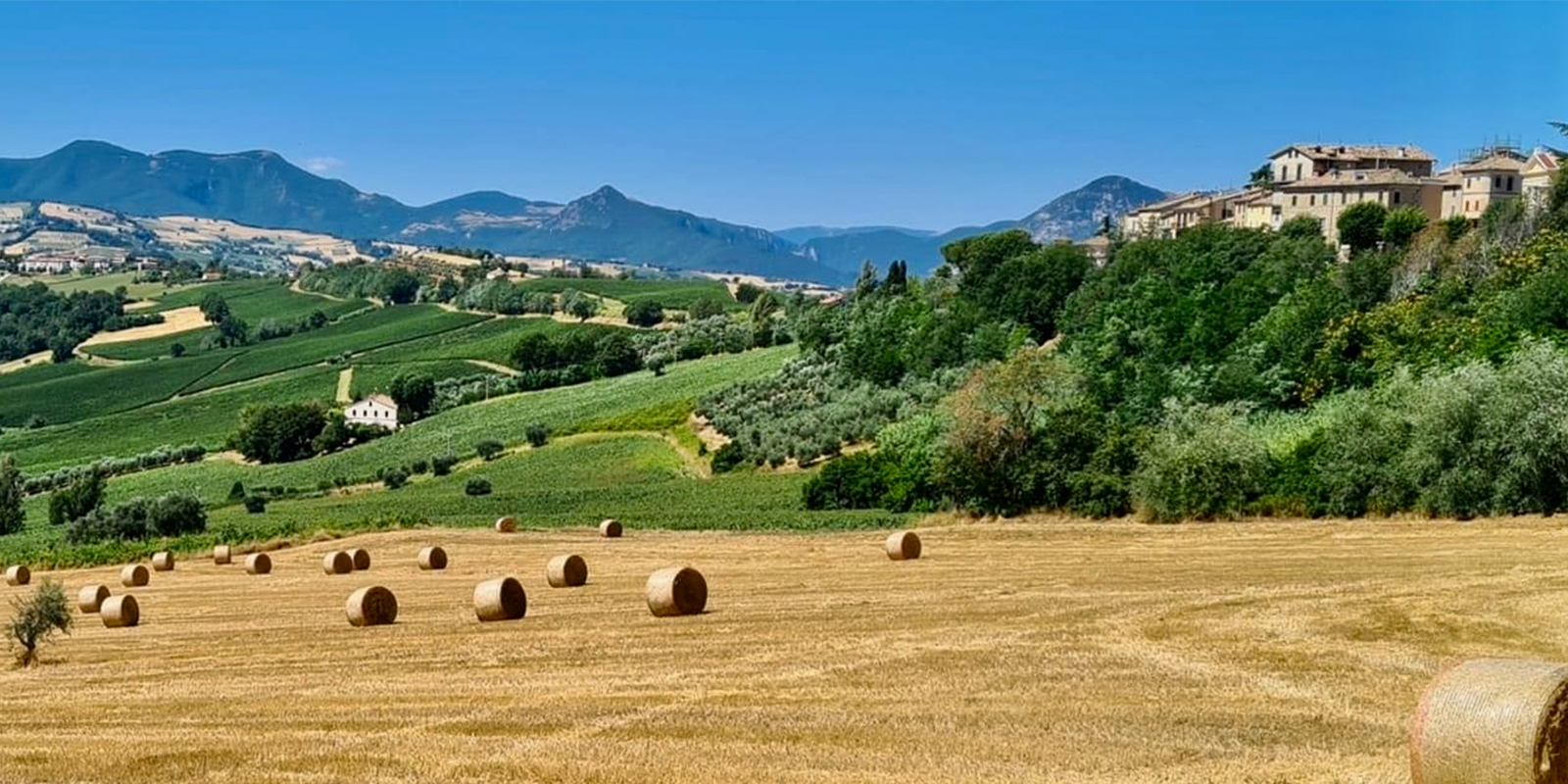 Paesaggio